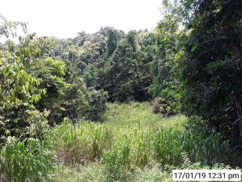 93 Christian Street, Babinda QLD 4861