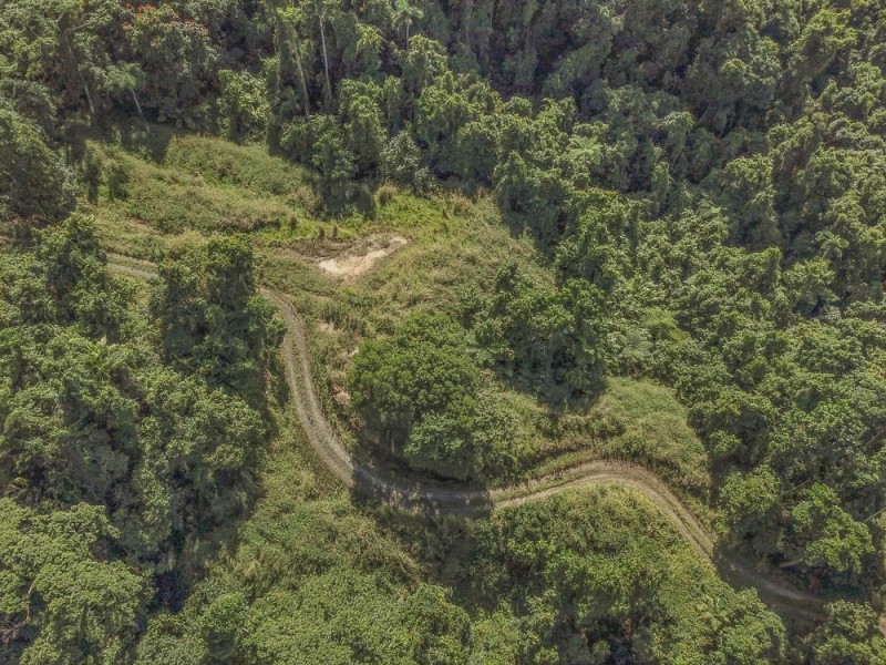 93 Christian Street, Babinda QLD 4861