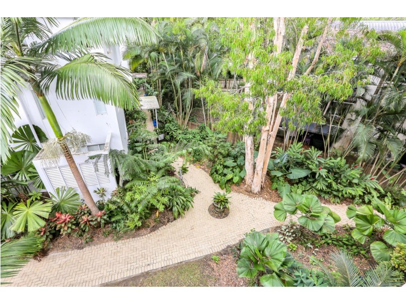 97/123-127 Williams Esplanade, Palm Cove QLD 4879