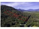 1354 Pine Creek Road, East Trinity QLD 4871