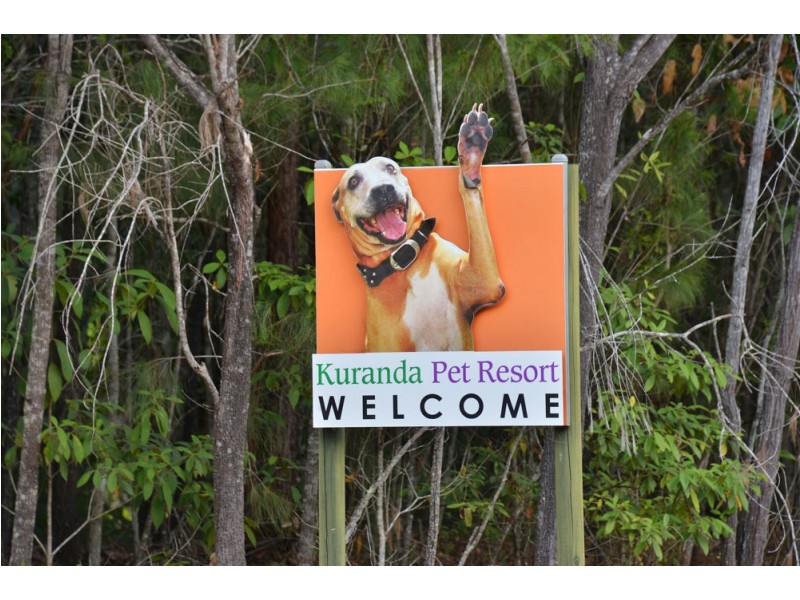 131 Boyles Road, Kuranda QLD 4881