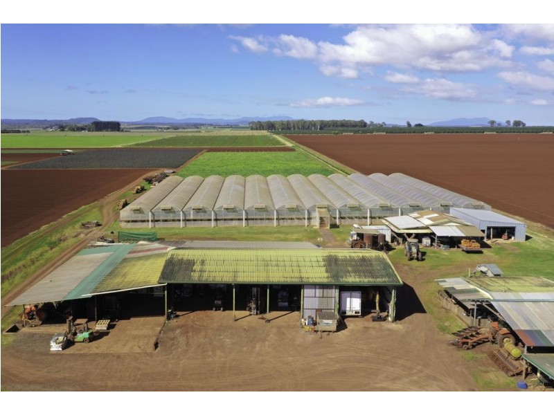 204 Graham Road, Tolga QLD 4882