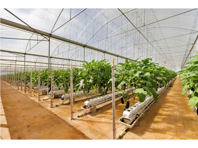 204 Graham Road, Tolga QLD 4882