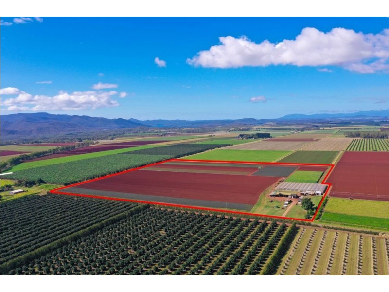 204 Graham Road, Tolga QLD 4882