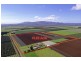 204 Graham Road, Tolga QLD 4882