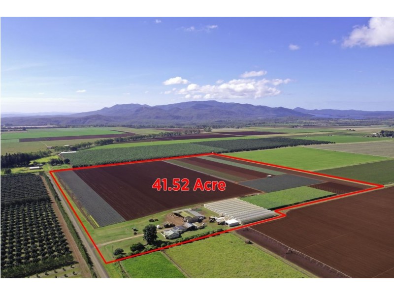 204 Graham Road, Tolga QLD 4882