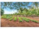 5139 Kennedy Highway, Mareeba QLD 4880