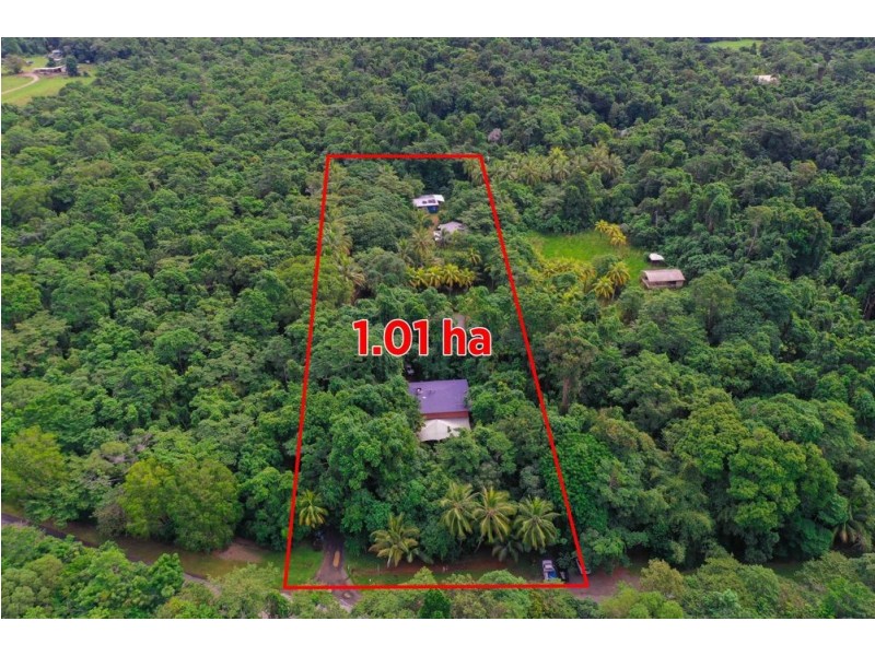 3867 Cape Tribulation Road, Cape Tribulation QLD 4873