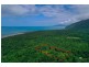 3867 Cape Tribulation Road, Cape Tribulation QLD 4873