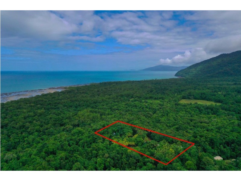 3867 Cape Tribulation Road, Cape Tribulation QLD 4873