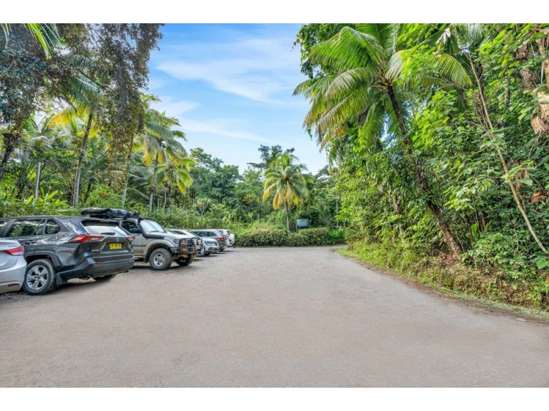 3867 Cape Tribulation Road, Cape Tribulation QLD 4873