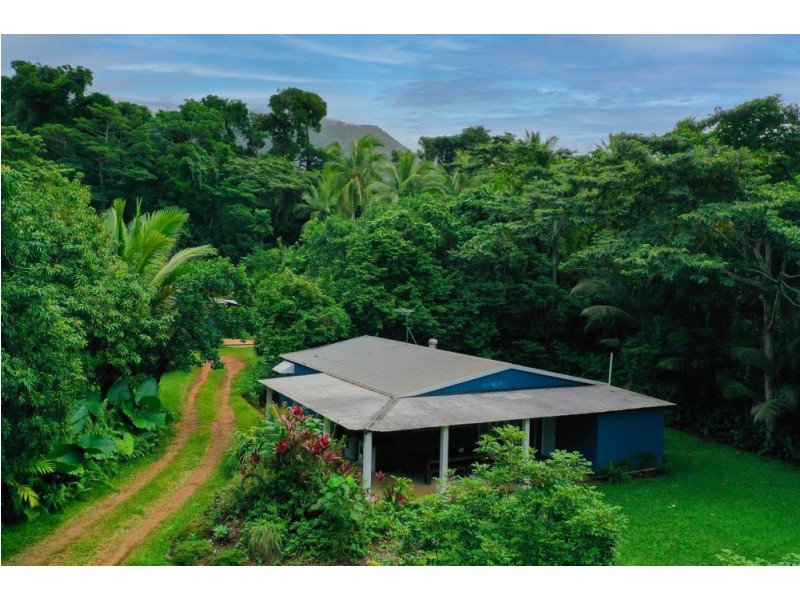 3867 Cape Tribulation Road, Cape Tribulation QLD 4873