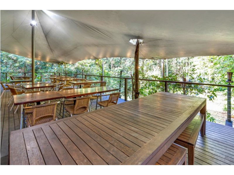3867 Cape Tribulation Road, Cape Tribulation QLD 4873