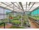 1 – 3 Grey Street, Gordonvale QLD 4865