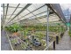 1 – 3 Grey Street, Gordonvale QLD 4865