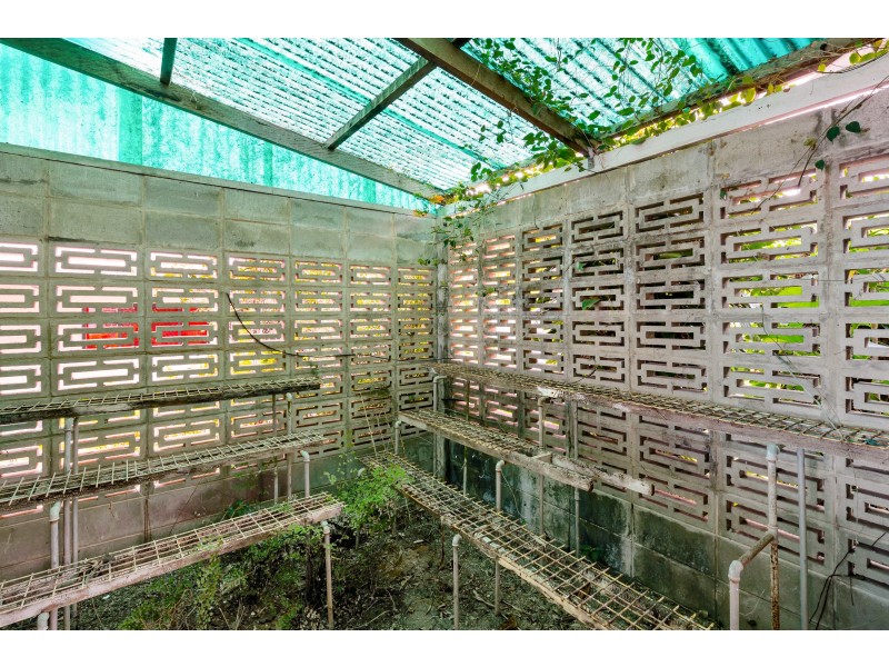 201 Jensen Street, Whitfield QLD 4870