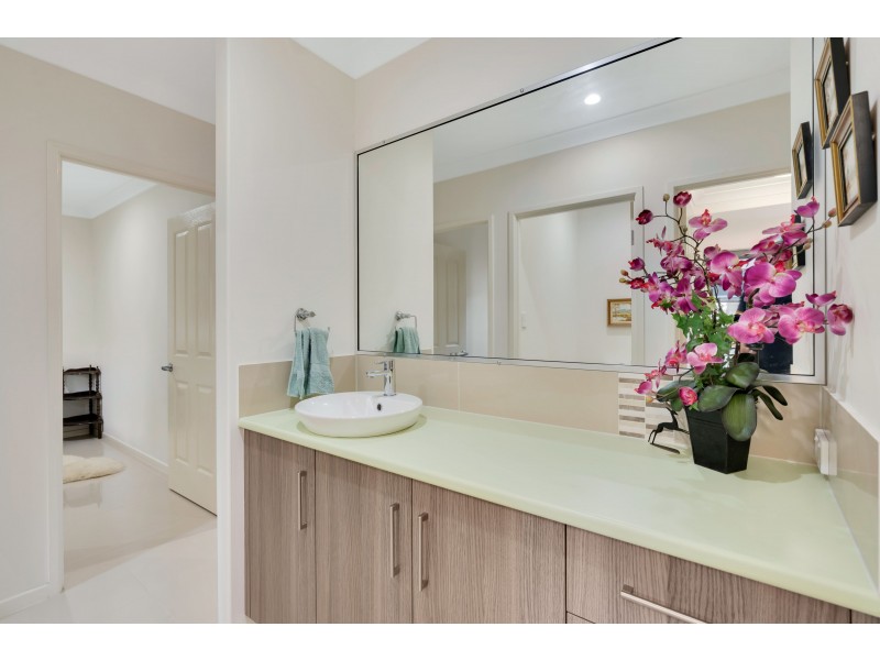 16 Aurelia Road, Palm Cove QLD 4879