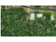 29 Luff Street, Hull Heads QLD 4854