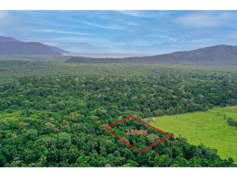 96 Buchanan Creek Road, Cow Bay QLD 4873