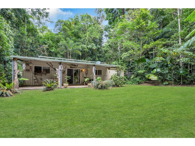 96 Buchanan Creek Road, Cow Bay QLD 4873