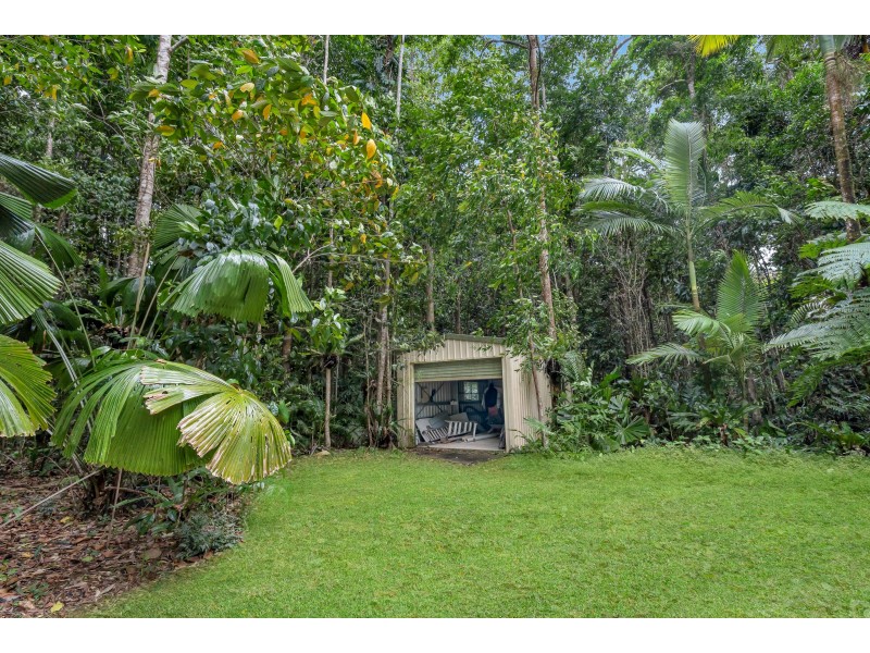 96 Buchanan Creek Road, Cow Bay QLD 4873