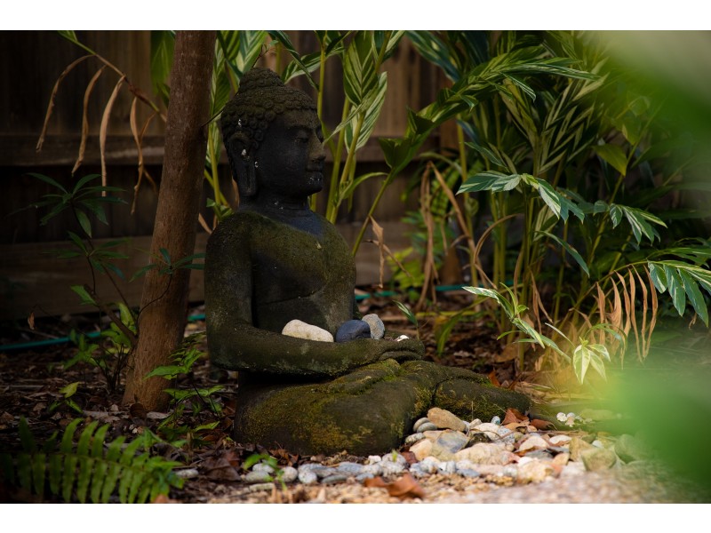 7/81-85 Cedar Road, Palm Cove QLD 4879