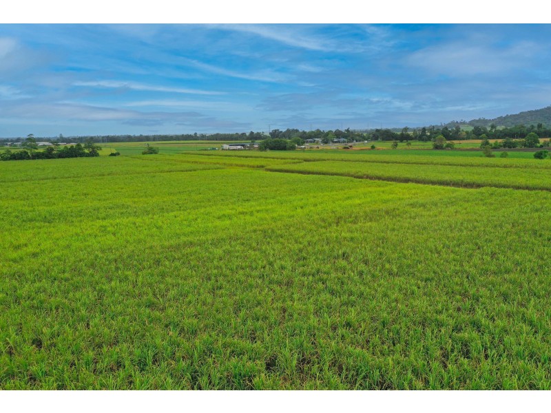 Lot 7 Bruce Highway, Tully QLD 4854