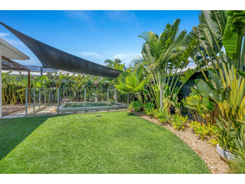 31 Conical Close, Trinity Beach QLD 4879