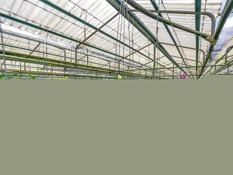 1-3 Grey St, Gordonvale QLD 4865