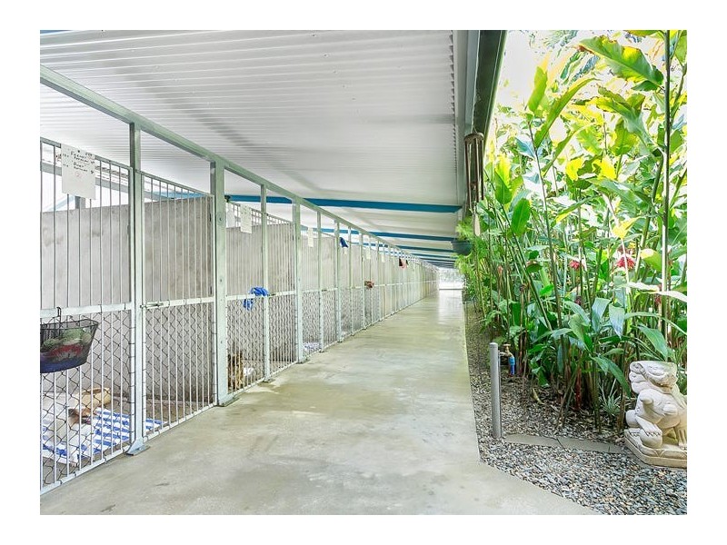 131 Boyles Road, Kuranda QLD 4881