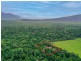 96 Buchanan Creek Road, Cow Bay QLD 4873