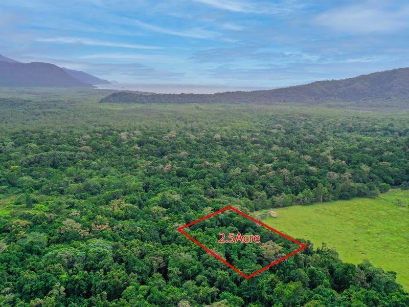 96 Buchanan Creek Road, Cow Bay QLD 4873