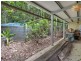 96 Buchanan Creek Road, Cow Bay QLD 4873