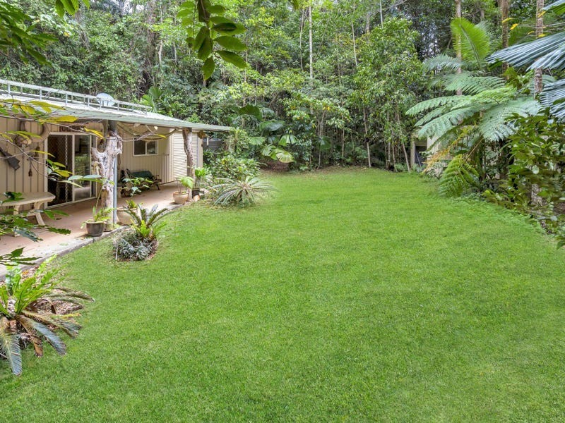 96 Buchanan Creek Road, Cow Bay QLD 4873