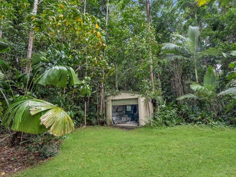 96 Buchanan Creek Road, Cow Bay QLD 4873