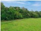 96 Buchanan Creek Road, Cow Bay QLD 4873