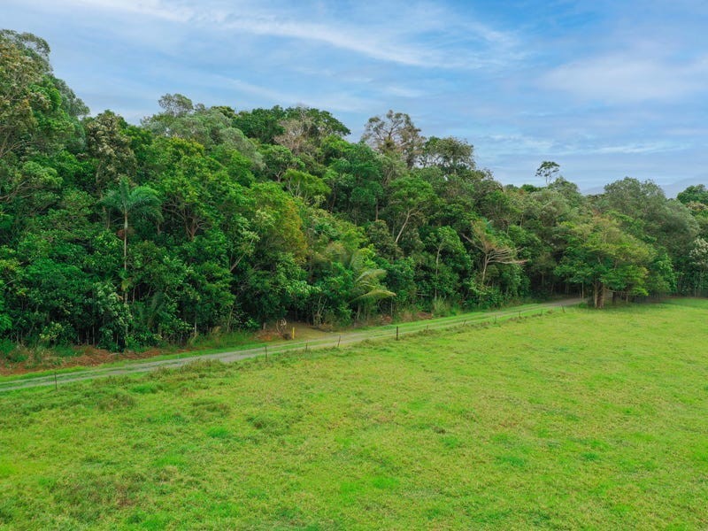 96 Buchanan Creek Road, Cow Bay QLD 4873