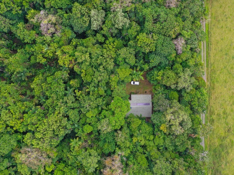 96 Buchanan Creek Road, Cow Bay QLD 4873