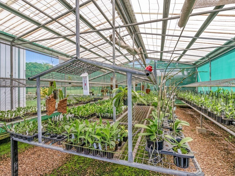 1-3 Grey Street, Gordonvale QLD 4865
