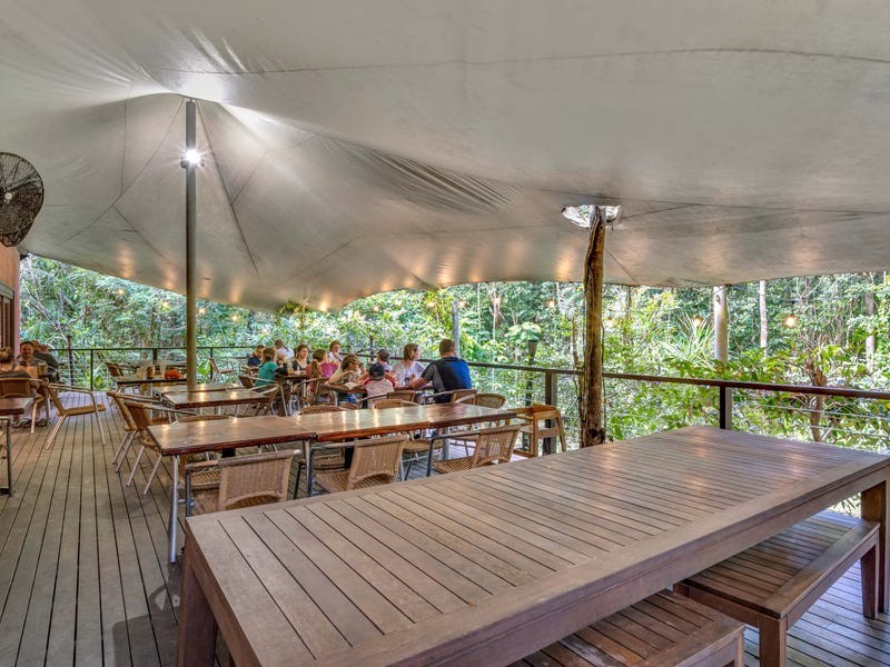 3867 Cape Tribulation Road, Cape Tribulation QLD 4873
