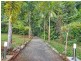 3867 Cape Tribulation Road, Cape Tribulation QLD 4873