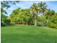 3867 Cape Tribulation Road, Cape Tribulation QLD 4873