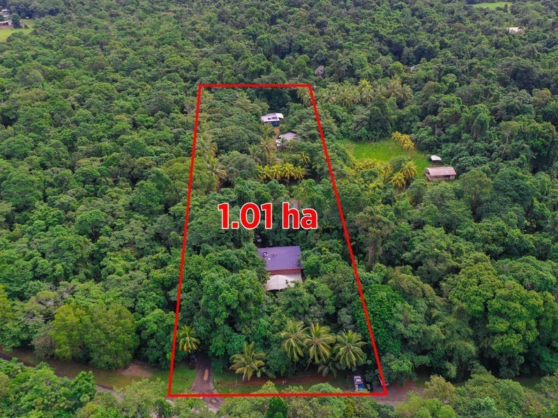 3867 Cape Tribulation Road, Cape Tribulation QLD 4873