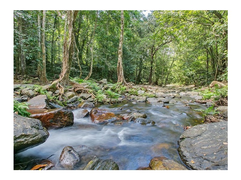 17 Douglas Track Road, Kamerunga QLD 4870