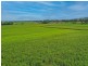 Lot 7 Bruce Highway, Tully QLD 4854