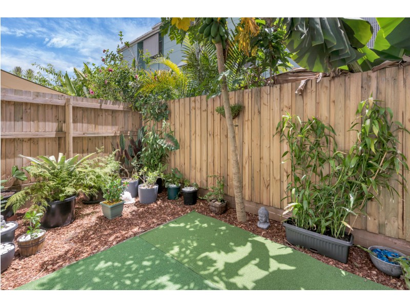 7/33 Balaclava Road, Earlville QLD 4870