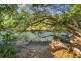 1035 Goldsborough Road, Goldsborough QLD 4865