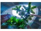 7/1 Marlin Parade, Cairns City QLD 4870