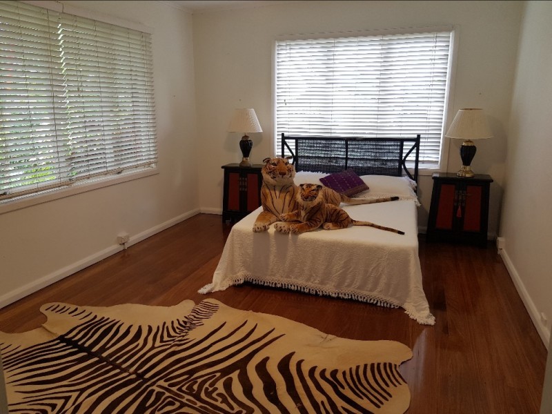 21 Fogarty Street, Whitfield QLD 4870