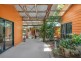 426 Biggs Road, Bartle Frere QLD 4861